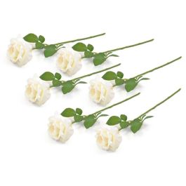 FLOWER OPEN ROSE CREAM S/6